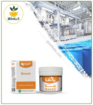 معجون تقویت حافظه خوراکی (بنه)