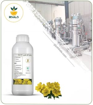 روغن گل مغربی GLA10
