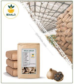 سیر سیاه خشک فله