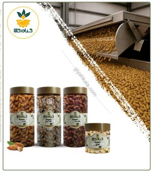 پک آجیل چهار مغز