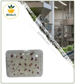 نبات شاخه گل محمدی لوکس (750 گرمی)