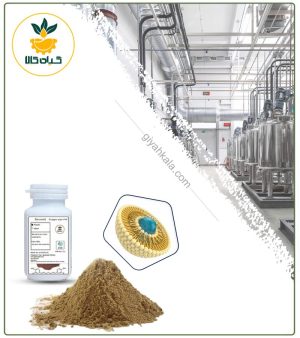 تیمول لیپوزومال