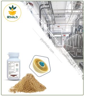 تیموکینون لیپوزومال