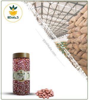 لوبیا چیتی ایرانی بسته بندی