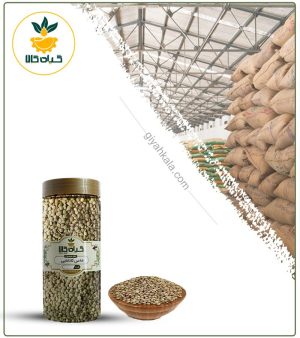 عدس کانادایی بسته بندی
