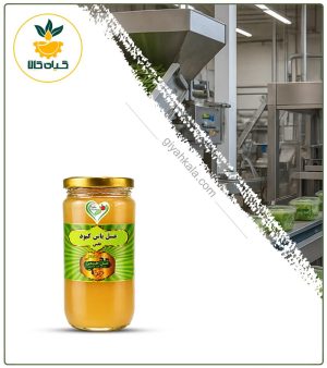 عسل یاس کبود ارگانیک نفس (500 گرمی)