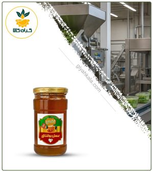 عسل بوقناق ارگانیک نفس (500 گرمی)