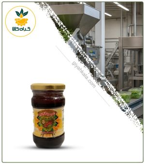 شیره انجیر ارگانیک نفس (500گرمی)