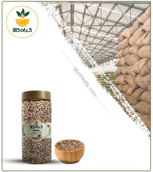 عدس روس بسته بندی
