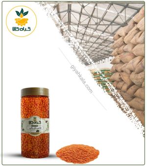 عدس دال رنگی بسته بندی