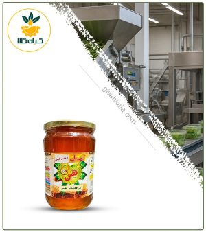 عسل ترنجبین ارگانیک نفس (500 گرمی)