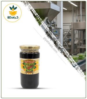 شیره خرما ارگانیک نفس (500 گرمی)