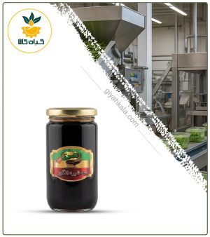 سه شیره ارگانیک نفس (500 گرمی)
