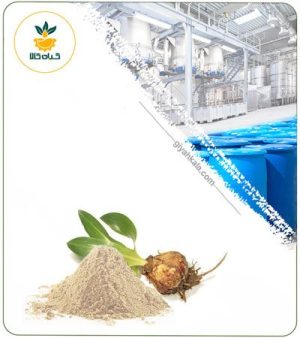 عصاره پیاز عنصل خشک یا پودری