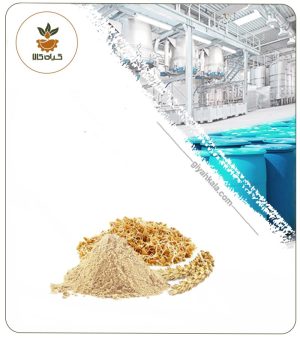 عصاره جوانه گندم خشک یا پودری