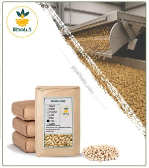سویا آجیلی سرکه ای فله