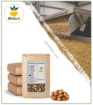 بادام هندی با پوست فله