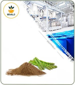 عصاره مارچوبه خشک یا پودری