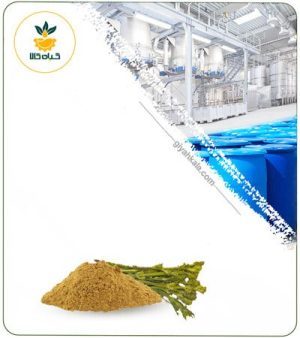 عصاره چویل خشک یا پودری