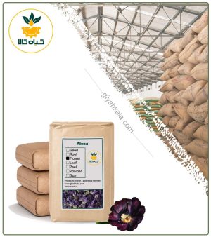 گل ختمی رنگی خشک فله