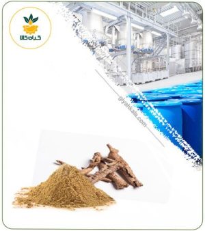عصاره چوب چینی خشک یا پودری
