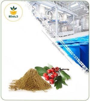 عصاره زالزالک خشک یا پودری