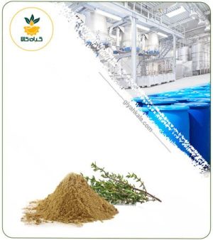عصاره آویشن کوهی خشک یا پودری