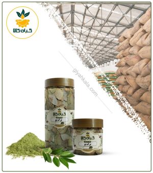 برگ بو خشک یا پودری بسته بندی