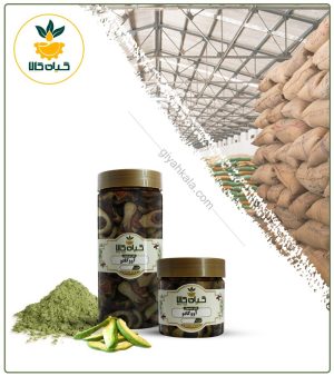 میوه آووکادو خشک یا پودری بسته بندی