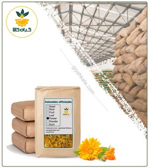 گل همیشه بهار خشک فله