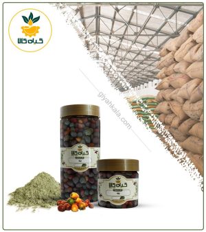 میوه بنه خشک یا پودری بسته بندی