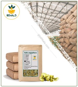 گل بیدمشک خشک فله