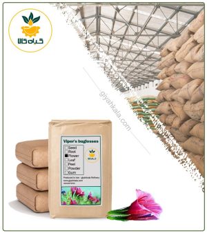 گل گاوزبان خشک فله