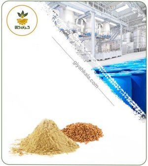 عصاره دانه شنبلیله خشک یا پودری
