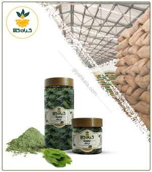 برگ ترشک خشک یا پودری بسته بندی