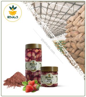 میوه توت فرنگی خشک یا پودری بسته بندی