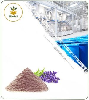 عصاره اسطوخودوس (هندی) خشک یا پودری