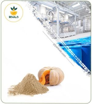 عصاره کدو حلوایی خشک یا پودری