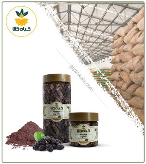 میوه شاه توت خشک یا پودری بسته بندی