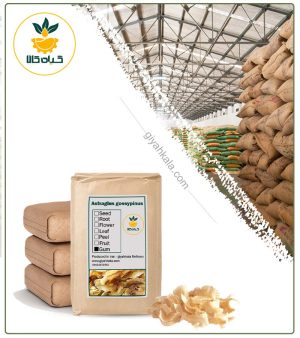 صمغ کتیرا خشک فله