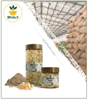 صمغ کتیرا خشک یا پودری بسته بندی