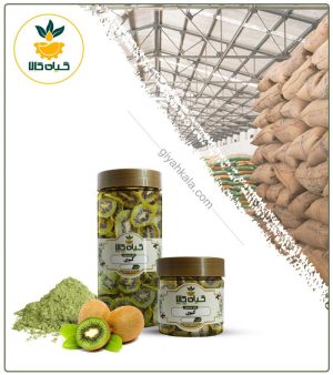 میوه کیوی خشک یا پودری بسته بندی