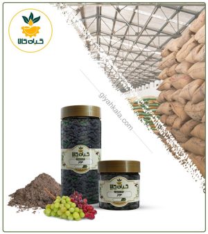 مویز خشک یا پودری بسته بندی