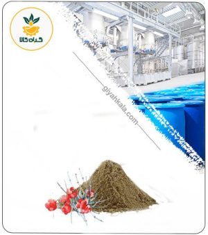 عصاره  ریش بز (هوم) خشک یا پودری