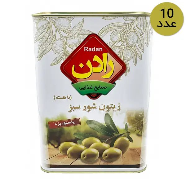 زیتون خوراکی سرکه ای رادن 10 حلب 9 کیلویی خالص اقساط
