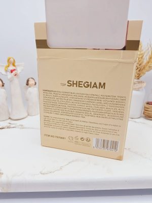لیپ گلاس خیس کوشنی پرطرفدار شیگلم با کیفیت و خوش رنگ SHEGIAM کد 0410