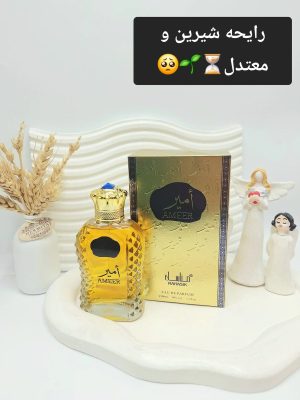 ادکلن مردانه AMEER حجم 100 میل امارات کد 4283