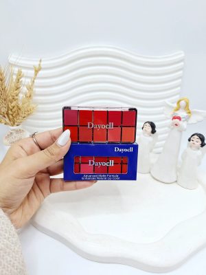 پالت رژ لب ده رنگ کیفیت عالی برند دایسل Deycill کد 1869