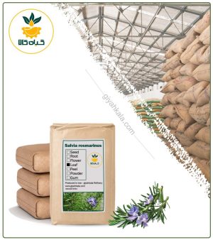 گیاه رزماری خشک فله