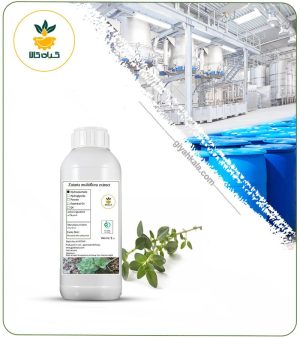 عصاره آویشن شیرازی مایع